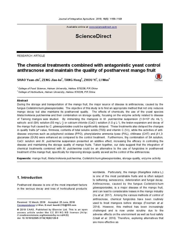 Yeyeyy PDF Vitamin C Yeast