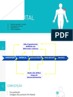 Ciclo vital humano: conceitos e etapas