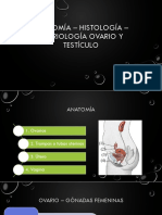 Anatomía - Histología - Embriología Ovario y Testículo PDF