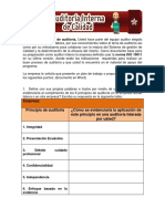 FormatoTaller Principios de Auditoria