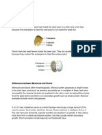 Differences Between Monocots and Dicots