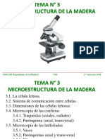 TEMA N° 003. MICROESTRUCTURA DE LA MADERA