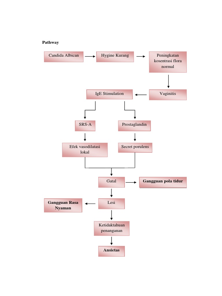 Pathway Gangguan Rasa Nyaman Ibu Hamil | PDF