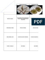 Cuadro Comparativo XDD