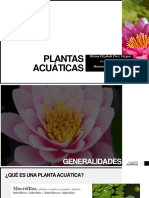 Plantas Acuaticas Miriam Elizabeth Pérez Vázquez