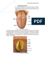 Sentidos Gusto Olfato y Tacto