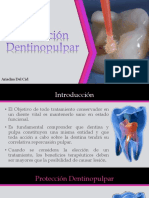 372889144-Proteccion-Dentinopulpar.pptx