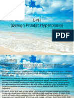 BPH (Benign Prostat Hyperplasia)