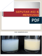 Seputar Asi & Menyusui