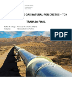 Transporte de Gas Natural Por Gasoductos - Trabajo Final