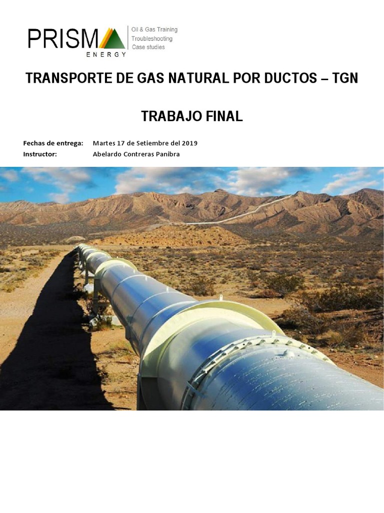 Transporte de Gas Natural Por Gasoductos - Trabajo Final | PDF | Gas ...