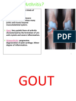 Gout 131015051453 Phpapp01 PDF