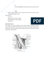 204726155-Anatomi-Situs-Colli-Tutorblok-4.docx