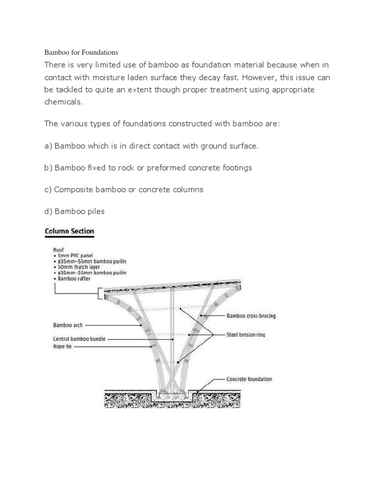 Bamboo | PDF