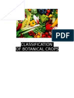 Classification of Botanical Crops