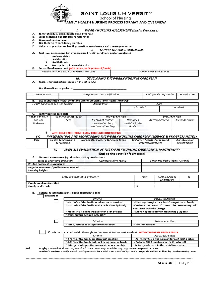 Family Health Nursing Process Guide | PDF | Nursing | Evaluation