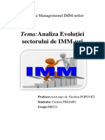 Proiect IMM1