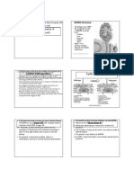 Cystic Kidney Diseases A Case Based Approach: ADPKD Pathogenesis Cystic Phenotype