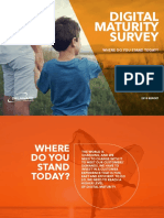 Digital Maturity Survey 2015 PDF