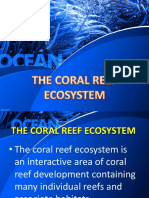 q2 Wk9 Coral Reefs
