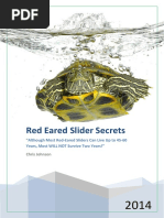 13.1-ReEarSliSrts-v1.0FinAl.pdf