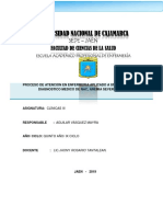 Proceso de Atención en Enfermeria Aplicado A Un Paciente Con Diagnostico Medico de Nac