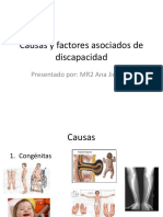 Discapacidad_Taller1_Causas_Factores.pdf