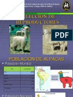 Mejora cadena valor fibra alpaca Puno