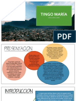 Análisis Urbano Tingo María