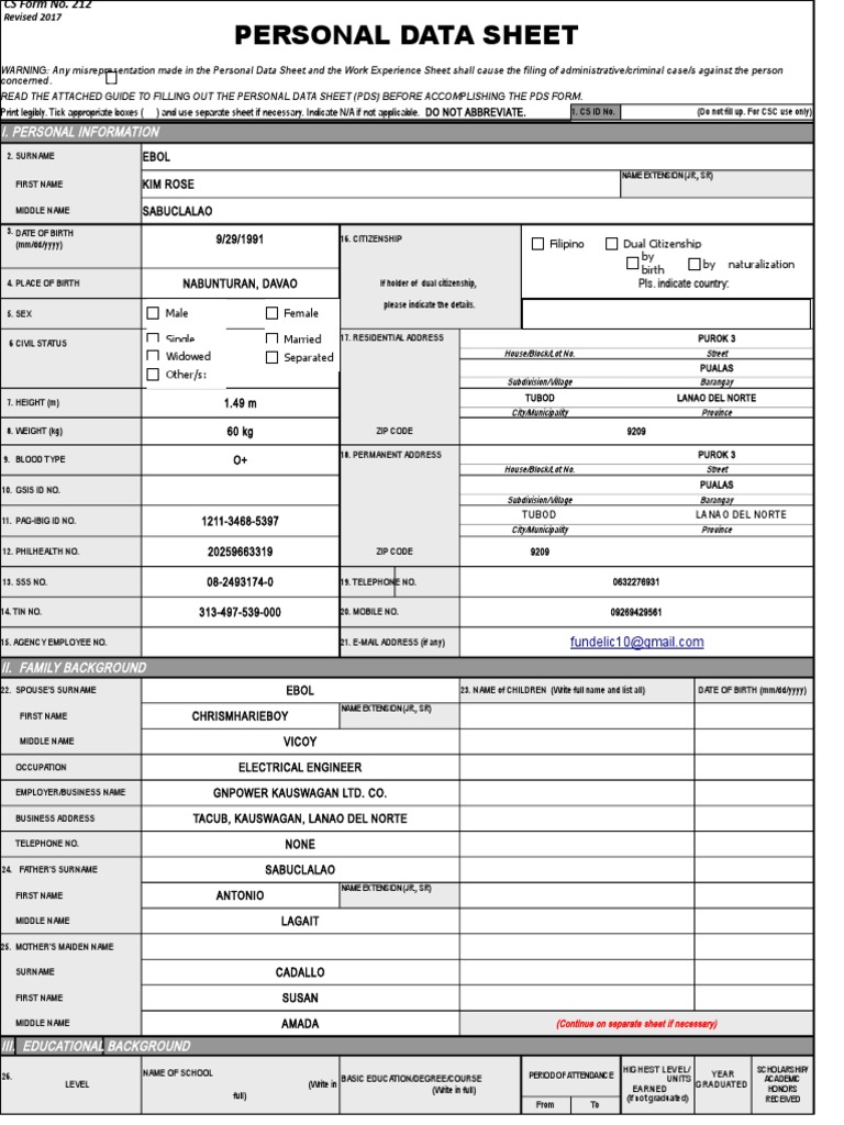 CS Form No. 212 Revised Personal Data Sheet PDF Intravenous Therapy