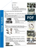Shale Caving Sorts PDF
