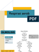 Respirasi Aerob GLIKO DAN DO