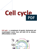 Ciclul Celular Engl