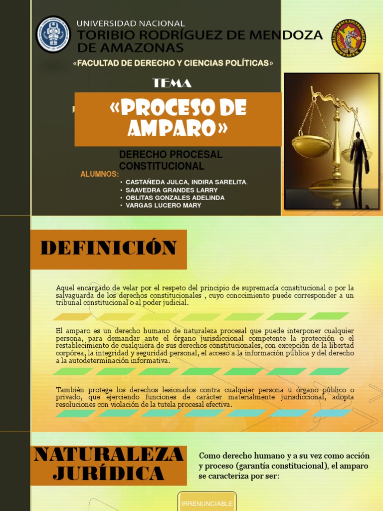 Proceso de Amparo en Derecho Constitucional | PDF | Ley procesal