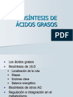 AcidosGrasos 1