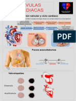 Ciclo Cardiaco