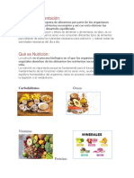 Qué es la Alimentación nutricion.docx