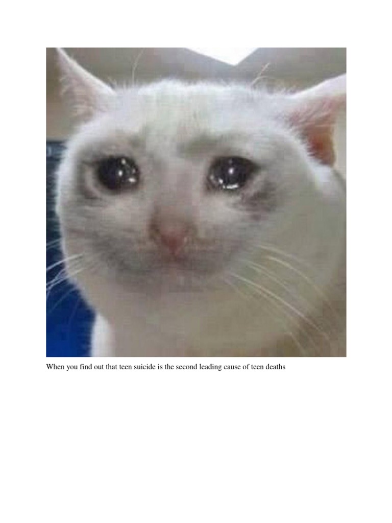 Notebook Meme | PDF