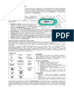 MICROORGANISMOS