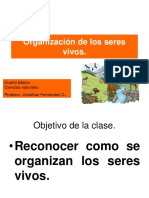 Organización de Los Seres Vivos