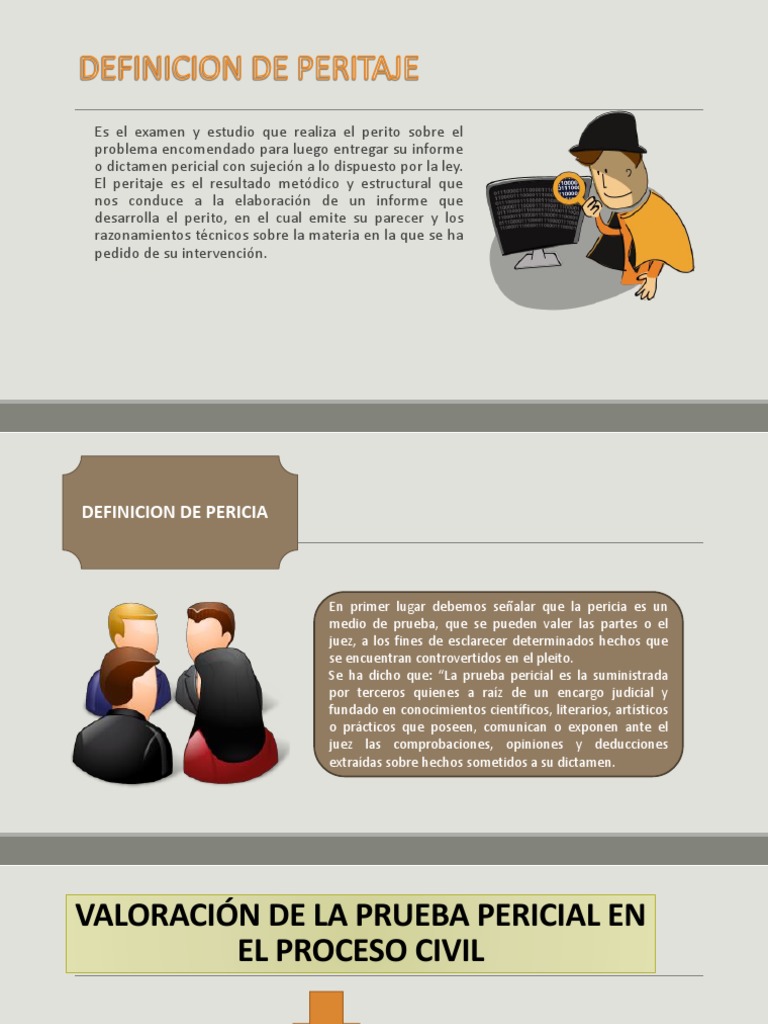 peritaje-civil-2-pdf-testigo-experto-justicia