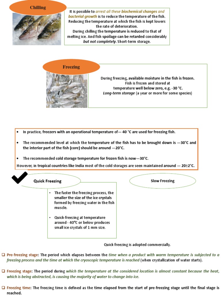 Chilling Bacterial Growth PDF Refrigerator Freezing