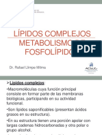 Metabolismo de fosfolípidos