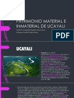 Patrimonio Material e Inmaterial de Ucayali