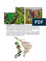 Agricultura en América.docx