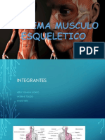 Sistema Musculo Esqueletico