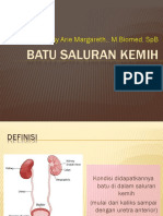 Batu Saluran Kemih