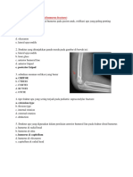 B. Capitellum: DD/DR - MJ (Pediatric Distal Humerus Fracture)