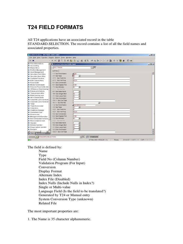 T24 Field Formats | PDF | Database Index | Subroutine
