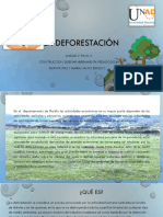 La Deforestación Propuesta Grupal